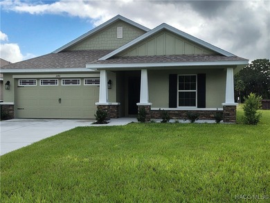 Lake Henderson Home For Sale in Inverness Florida