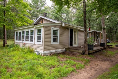 Lake Home For Sale in Baldwin, Michigan