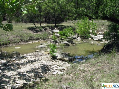 (private lake, pond, creek) Acreage For Sale in Evant Texas