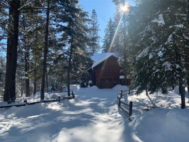 Lake Home For Sale in Bigfork, Montana