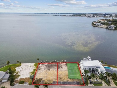Exclusive Waterfront Estate Opportunity on Tampa Bay - photo 1