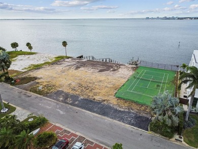 Exclusive Waterfront Estate Opportunity on Tampa Bay - photo 3