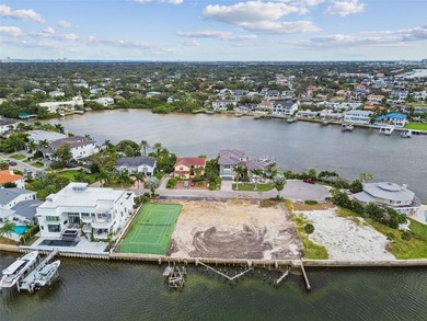Exclusive Waterfront Estate Opportunity on Tampa Bay - photo 4
