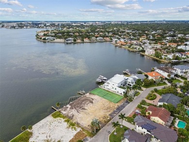Exclusive Waterfront Estate Opportunity on Tampa Bay - photo 5