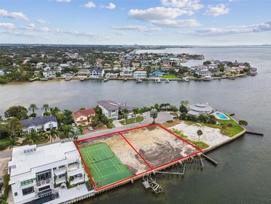 Exclusive Waterfront Estate Opportunity on Tampa Bay - photo 6
