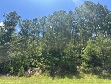 Lake Lot For Sale in Lincolnton, Georgia