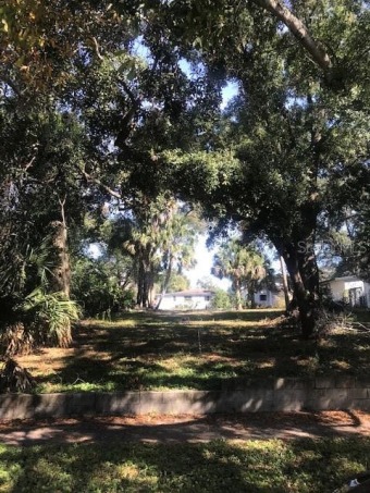 Hillsborough River - Hillsborough County Lot For Sale in Tampa Florida