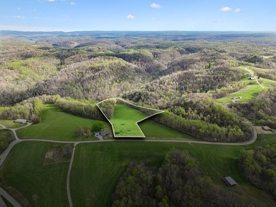 Beautiful 5.18 acre tract offering a great balance of usability - photo 1