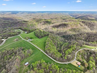 Beautiful 5.18 acre tract offering a great balance of usability - photo 8
