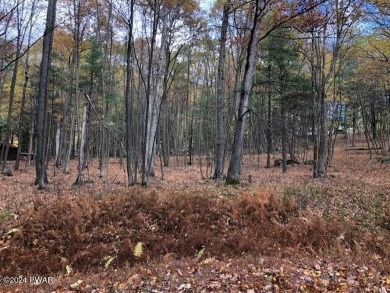 Lake Lot For Sale in Blooming Grove, Pennsylvania