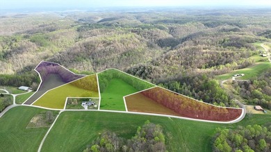 This 5.03 acre tract features gently rolling, usable ground - photo 4