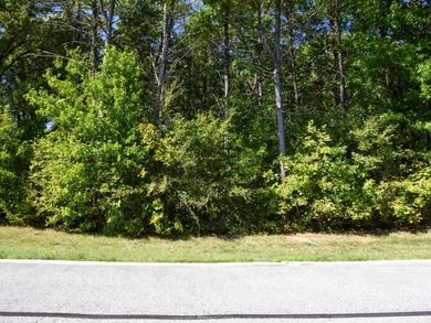 Own your very own lot on this one-of-a-kind Jack Nicklaus Design - photo 4