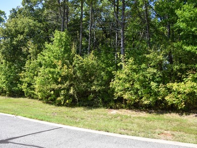 Own your very own lot on this one-of-a-kind Jack Nicklaus Design - photo 5