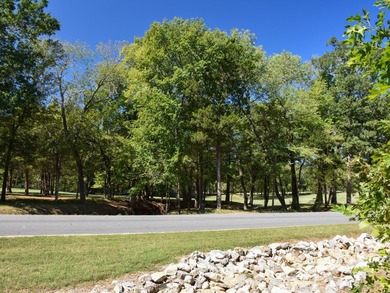 Own your very own lot on this one-of-a-kind Jack Nicklaus Design - photo 6
