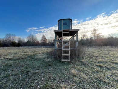 (private lake, pond, creek) Acreage For Sale in Higbee Missouri