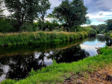 Lake Home For Sale in Council, Idaho