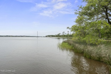 One of two Gorgeous lots with majestic oak in Biloxi's Back Bay - photo 11