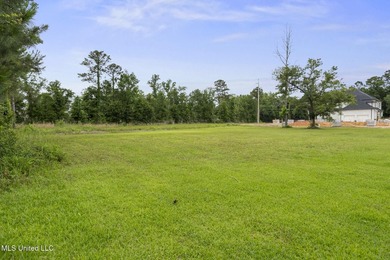 One of two Gorgeous lots with majestic oak in Biloxi's Back Bay - photo 12