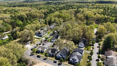 Welcome to The Cottages at Lites Woods in beautiful Pentwater -- - photo 35
