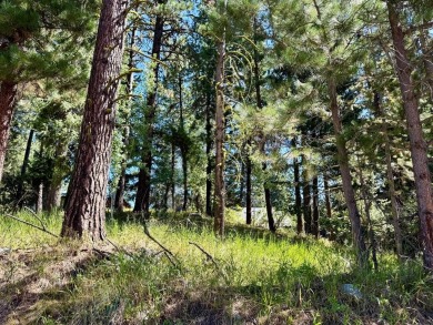 Payette Lake Lot For Sale in Mccall Idaho
