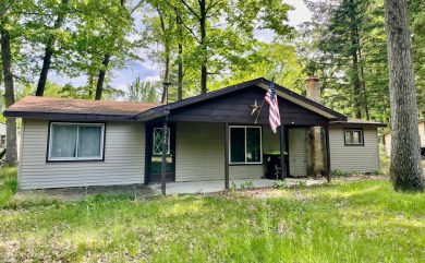 Grass Lake - Gladwin County Home For Sale in Gladwin Michigan