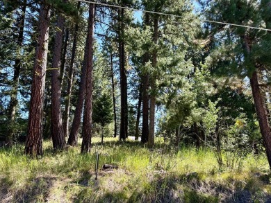 Payette Lake Lot For Sale in Mccall Idaho