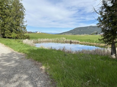 (private lake, pond, creek) Lot For Sale in Colville Washington