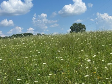 Lake Acreage Off Market in Liberty, Kentucky