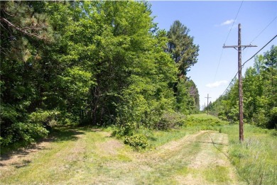 Lake Acreage For Sale in Moose Lake Twp, Minnesota
