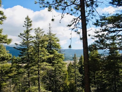 Looking for a great spot for your future Angel Fire home?! This - photo 11