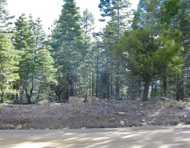 Looking for a great spot for your future Angel Fire home?! This - photo 12