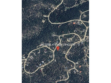 Looking for a great spot for your future Angel Fire home?! This - photo 14