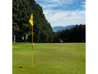 Looking for a great spot for your future Angel Fire home?! This - photo 16