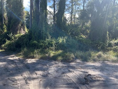 Prime corner lot in sought after subdivision. Build your dream - photo 1