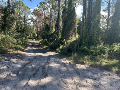 Prime corner lot in sought after subdivision. Build your dream - photo 2