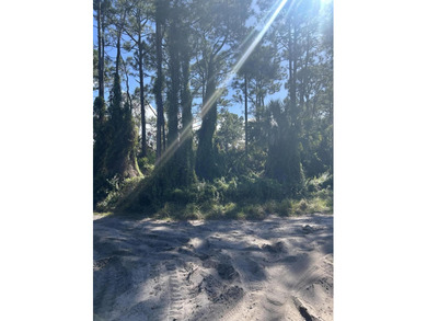 Prime corner lot in sought after subdivision. Build your dream - photo 3