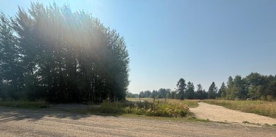 Lake Cascade  Lot For Sale in Donnelly Idaho