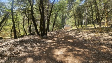 Lake Shasta Acres For Sale in Lakehead California