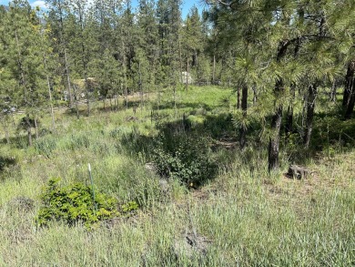 Lake Lot For Sale in Kettle Falls, Washington