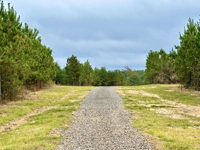 Now selling in Avalon Lake Estates - a brand-new 55+ gated - photo 14