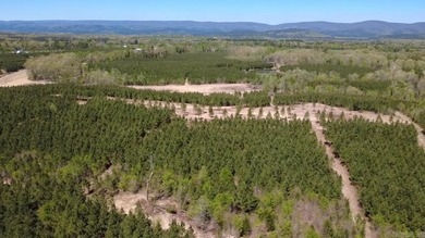 Now selling in Avalon Lake Estates - a brand-new 55+ gated - photo 21