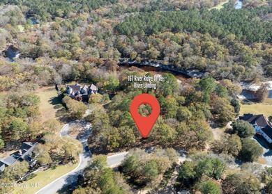 Lake Lot For Sale in Wallace, North Carolina