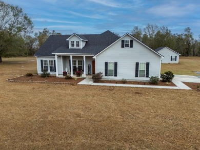 Lake Home For Sale in Naylor, Georgia