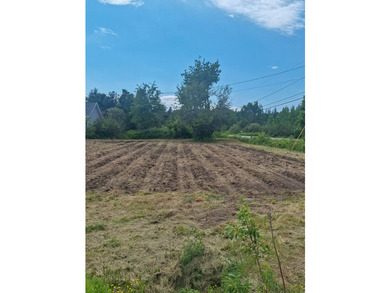This surveyed 3A+- acre lot in Dennysville is ready for your - photo 5