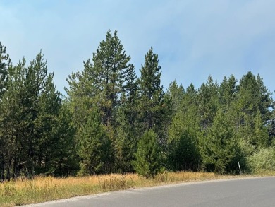 Lake Lot For Sale in Donnelly, Idaho