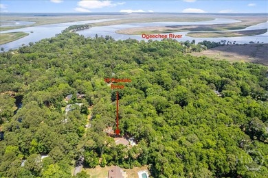 Beautiful Lowcountry home in the highly sought-after Redbird - photo 4