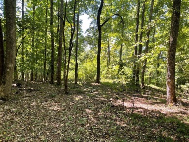 Lake Chatuge Lot For Sale in Hayesville North Carolina