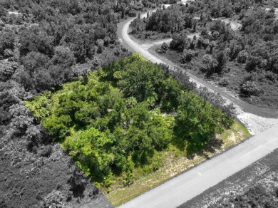 Northport Waterway Lakes and Canals Lot For Sale in North Port Florida