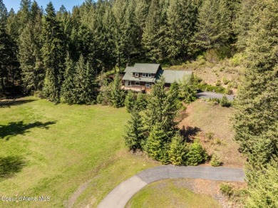 Coeur d Alene Lake Home For Sale in Worley Idaho