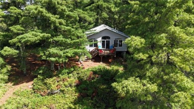 Lake Home For Sale in International Falls, Minnesota